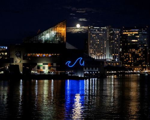 National Aquarium