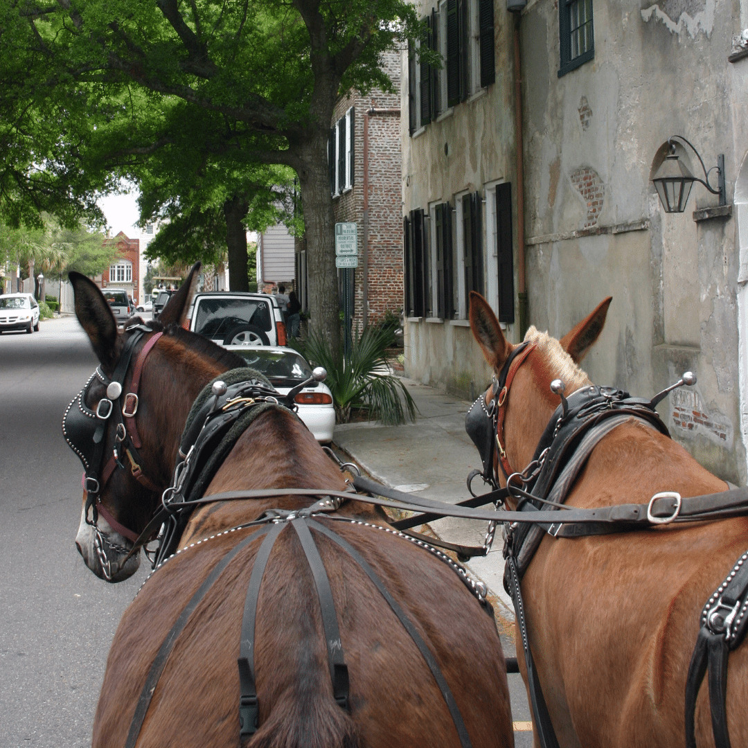 Historic Charleston