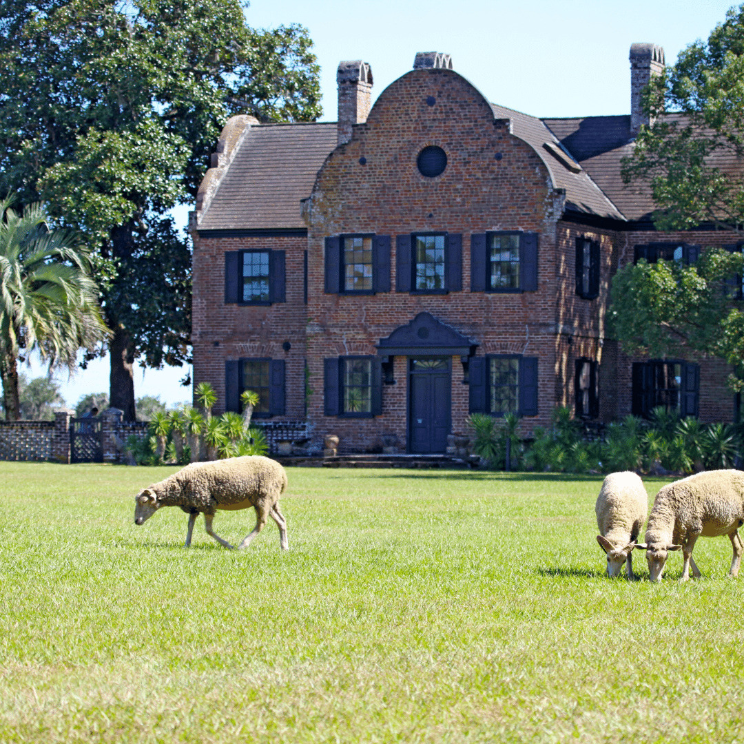 Middleton Place